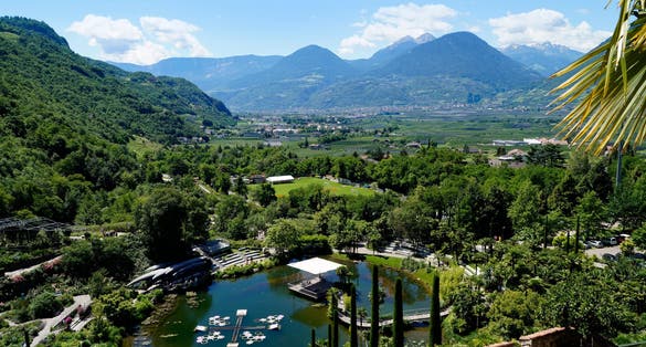 breathtaking mediterranean Merano’s Gardens of Trauttmansdorff Castle with a lush palm tree and the Italian Alps in the background (Merano, South Tyrol, Italy)