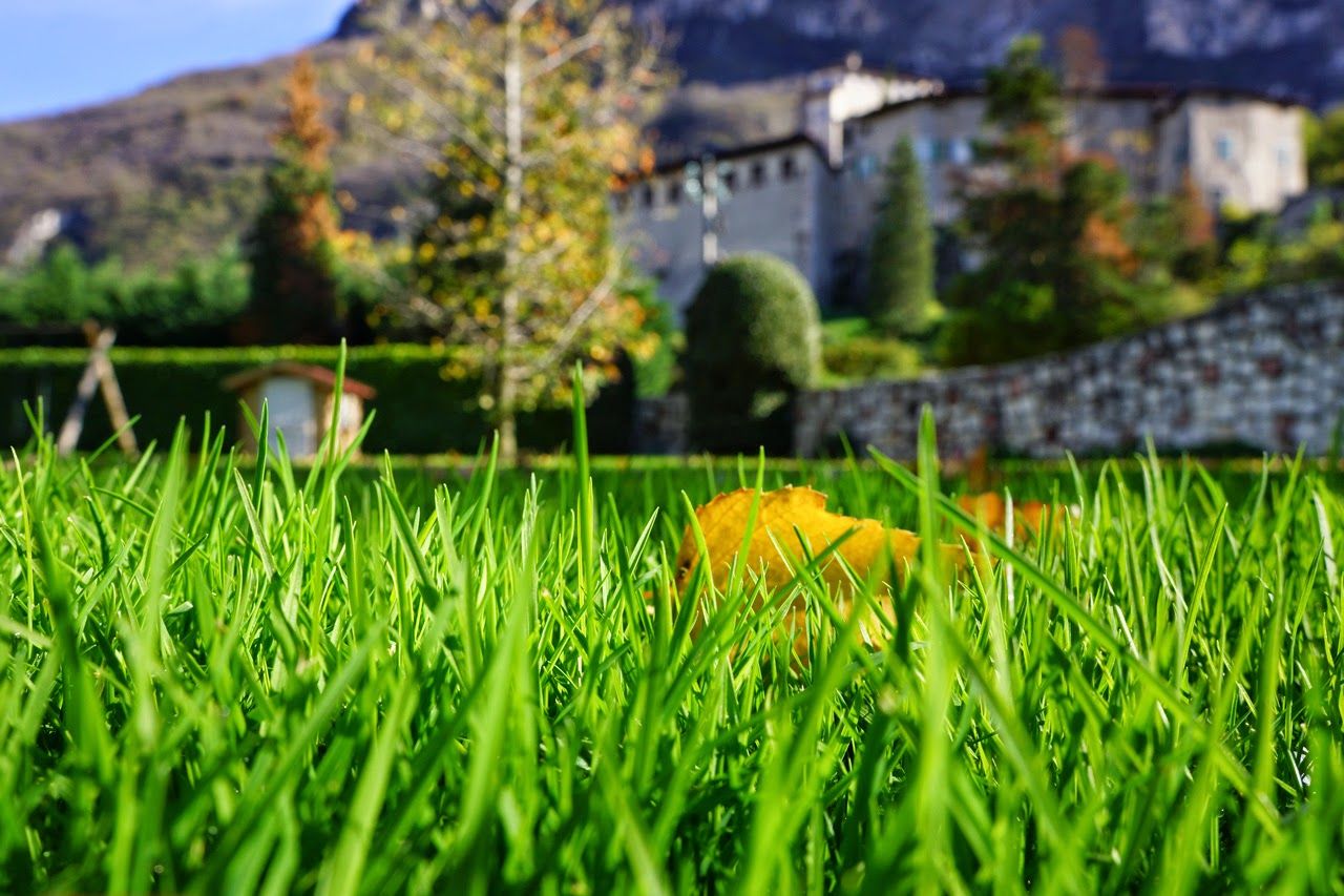 Castel Pietra - Event Location, Volano, Comunità della Vallagarina, Provincia di Trento, Trentino-Alto Adige/Südtirol, Italy