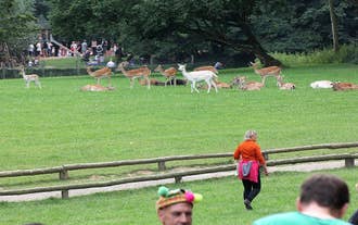 Wildpark Grafenberger Wald