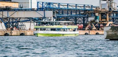 Wismar: Electric Boat Tour past Whale Island with Poel Stop