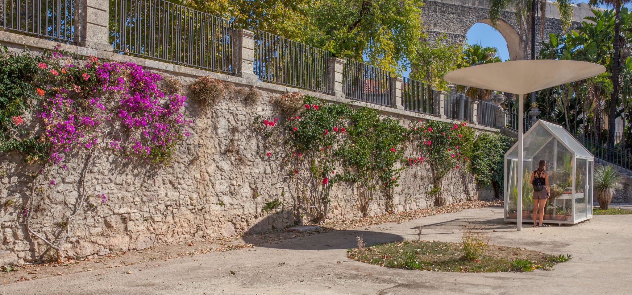 Young visitor woman observes a glass green house at Botanical Garden of the University of Coimbra, Portugal