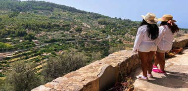 Palma/Sóller: Mallorca Secret Corners & Tastes Private Tour
