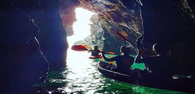 Sea Cave Kayaking Experience