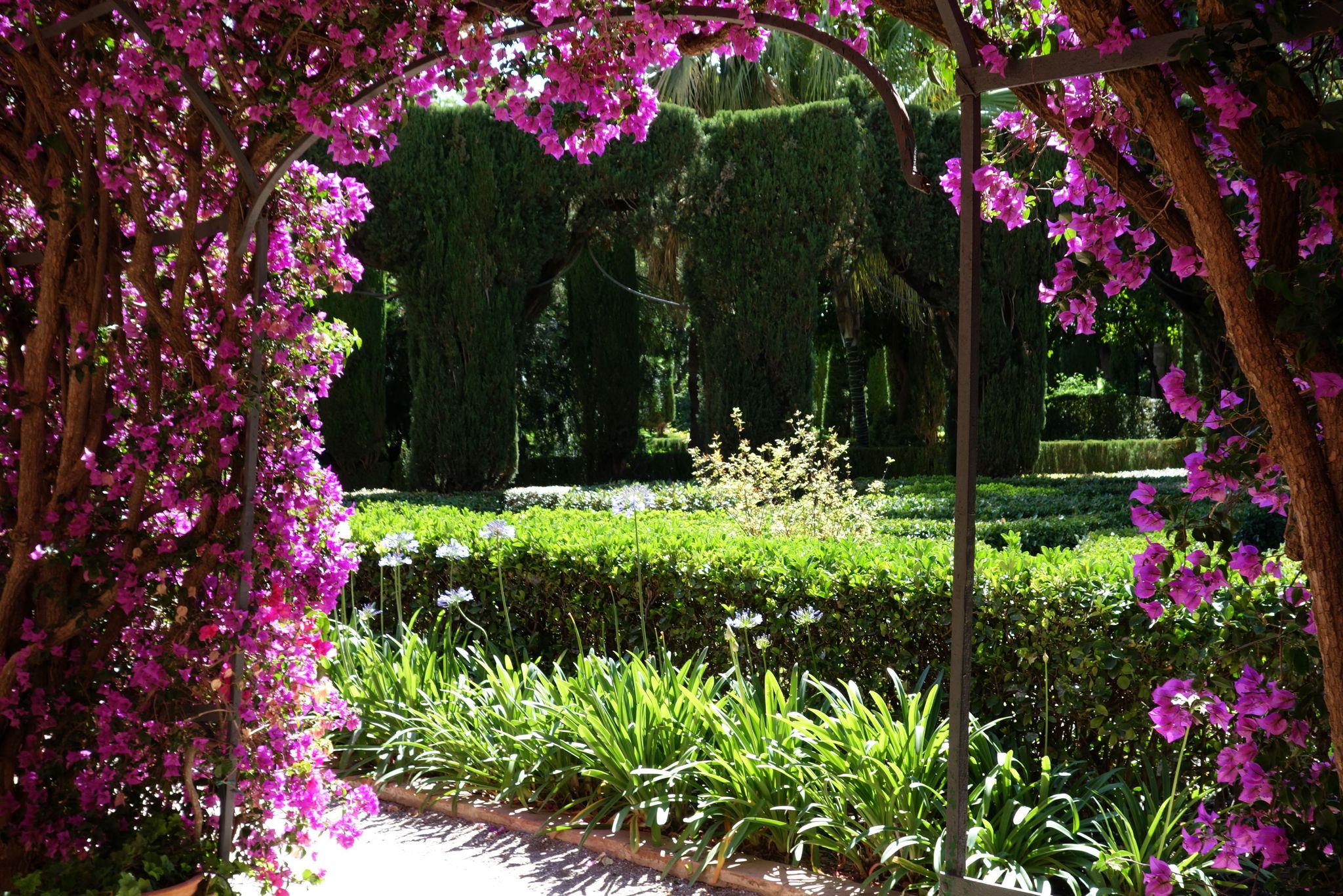 Jardín de Monforte travel guide