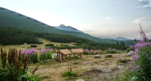 Банско -  in Bulgaria