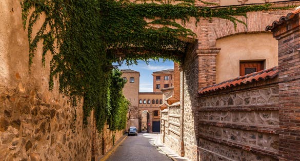 photo of view of Narrow stone passageway on a medieval street of Segovia, Spain, overgrown with lush green ivy (Hedera).