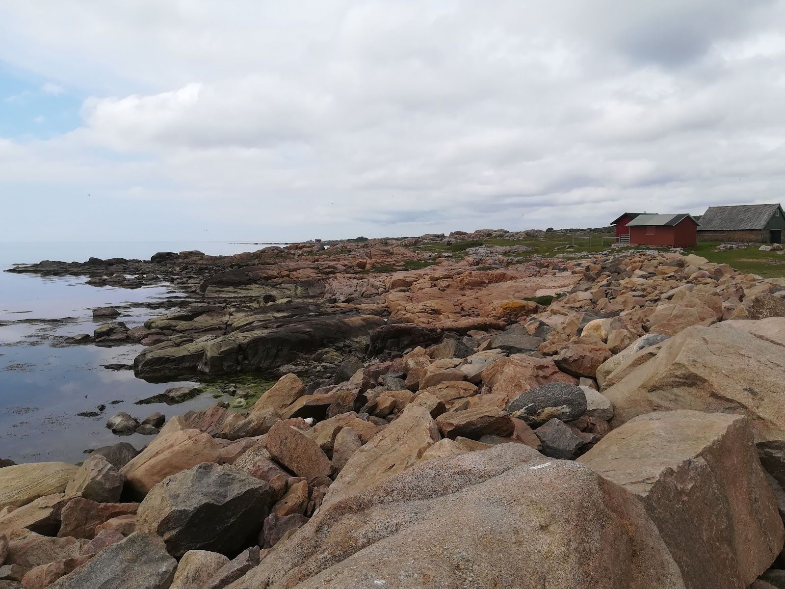 Grimsholmens naturreservat, Falkenbergs kommun, Halland County, Sweden