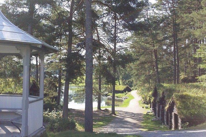 Alesund Shore Excursion: The Ultimate Sightseeing Tour