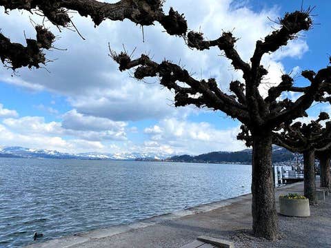 Discover Zürich's Legacy In App Audio Tour