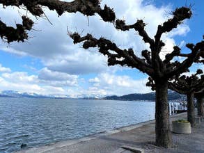 Discover Zürich's Legacy In App Audio Tour