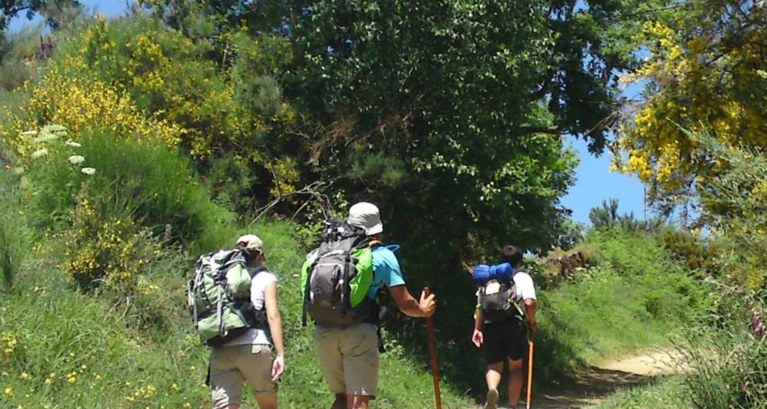 Walking the Camino de Santiago