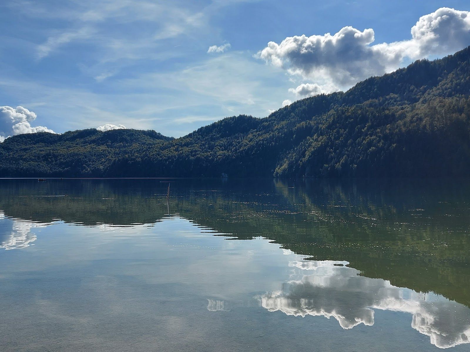 Liegewiese Weißensee, Füssen, Landkreis Ostallgäu, Bavaria, Germany