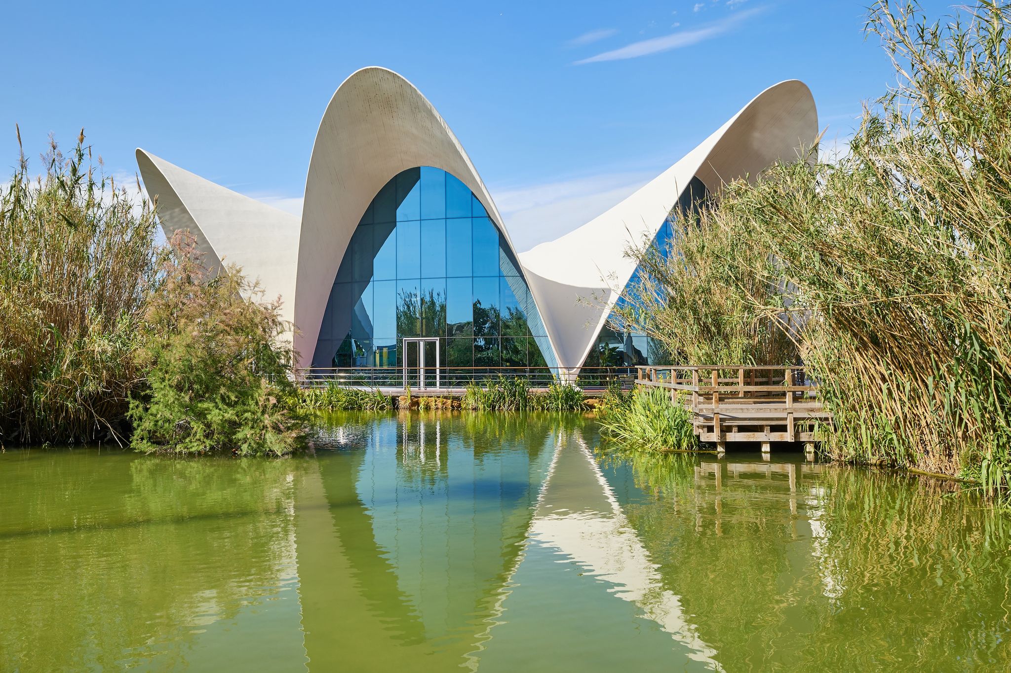 Photo of restaurant building with reflection in the pond in Oceanografic Valencia, Spain.