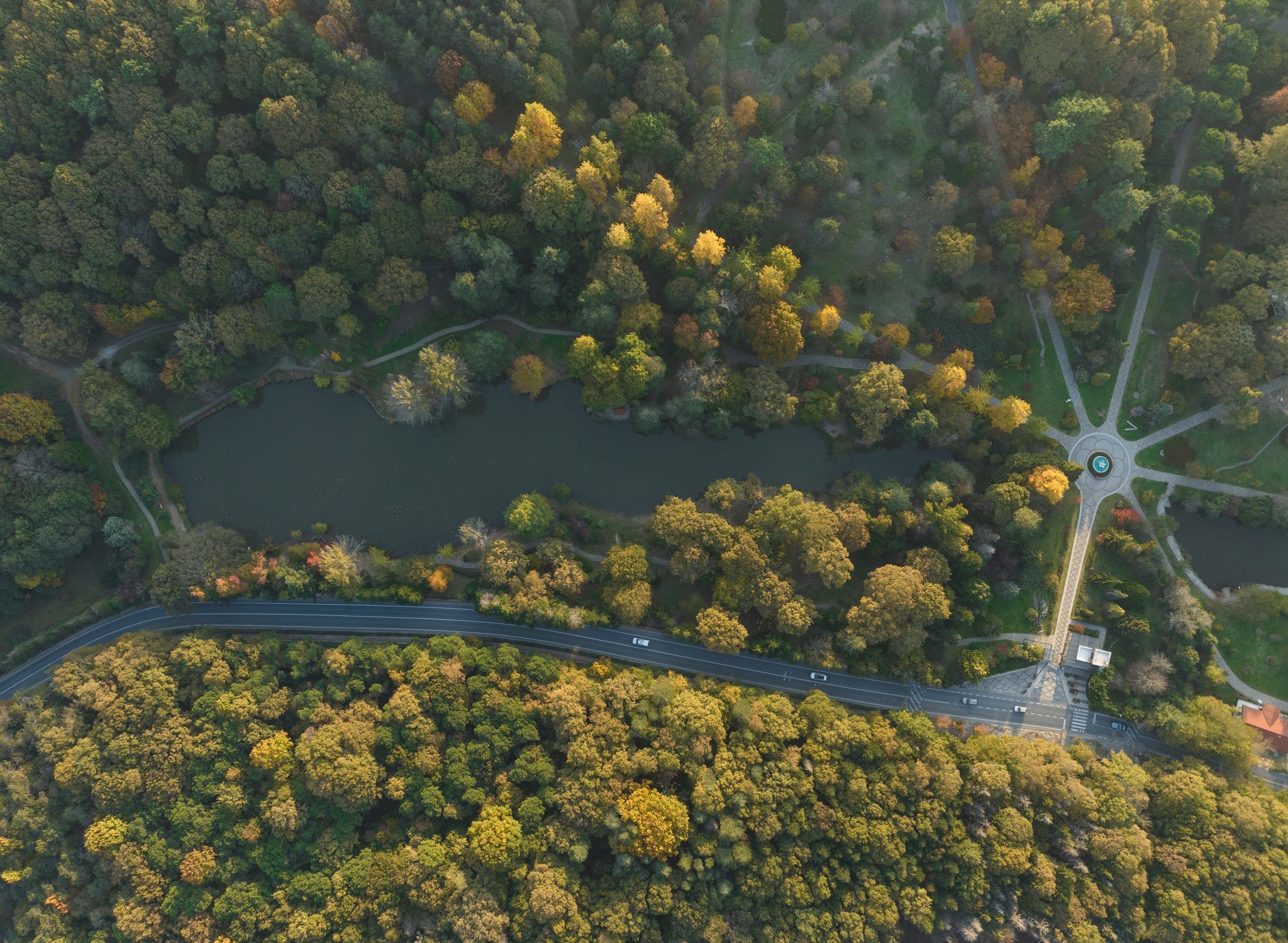 photo of autumn colorful in the Ataturk Arboretum drone photo, Bahçeköy Sariyer, Istanbul Turkey.
