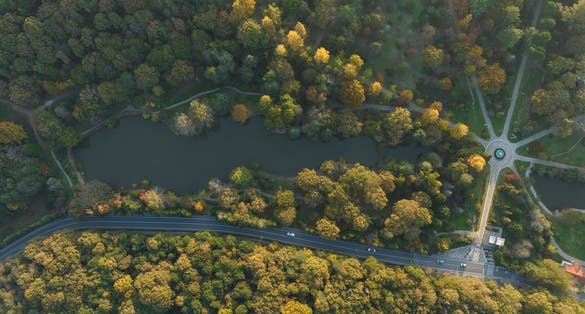 photo of autumn colorful in the Ataturk Arboretum drone photo, Bahçeköy Sariyer, Istanbul Turkey.