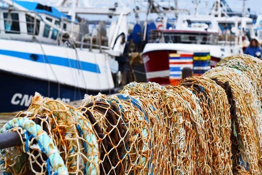 Guided walking tour of Honfleur