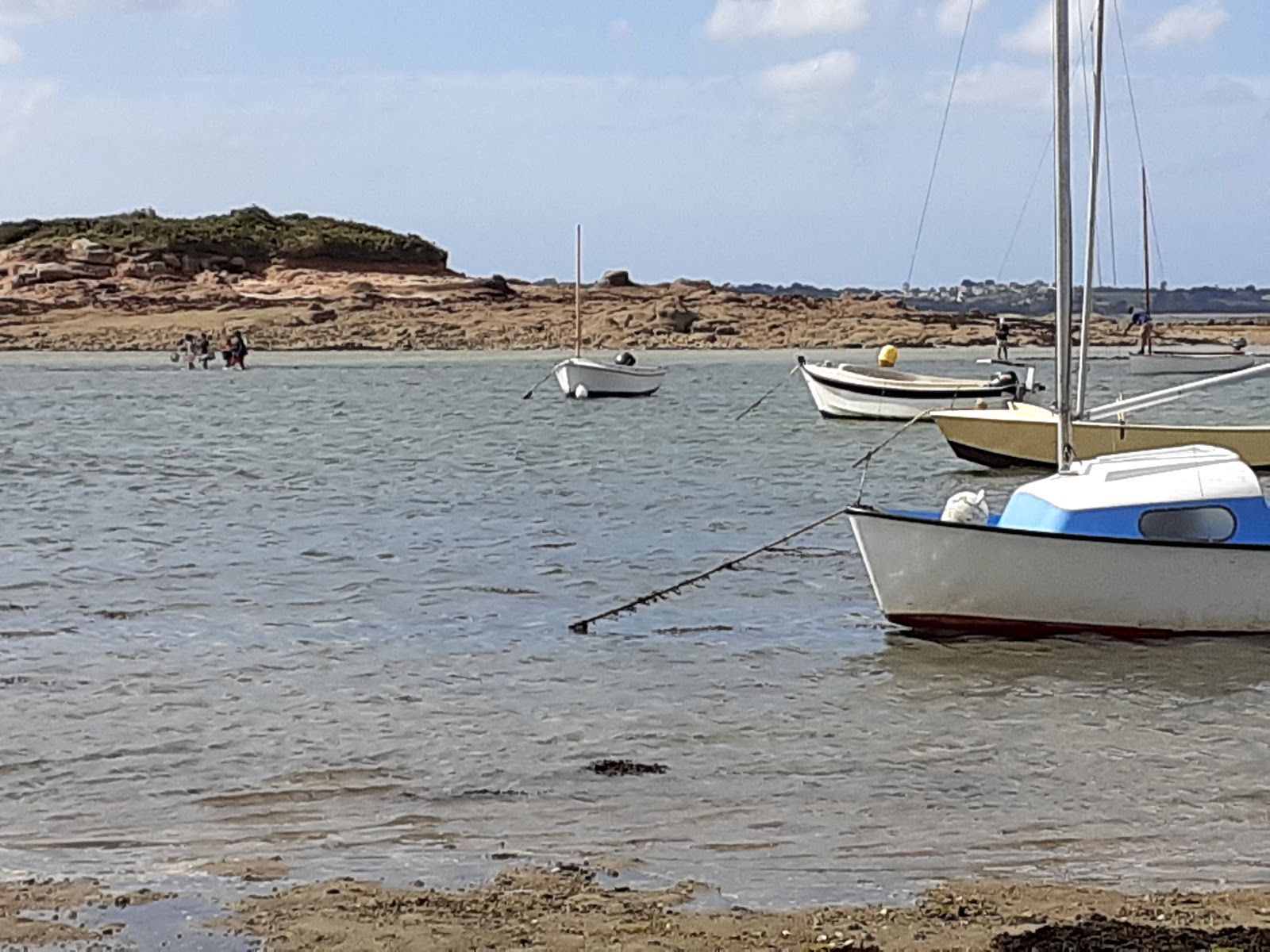 Grève Blanche Beach, Carantec, Morlaix, Finistère, Brittany, Metropolitan France, France