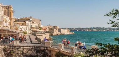 Private tour Syracuse -Archaeological Park and Ortigia with lunch