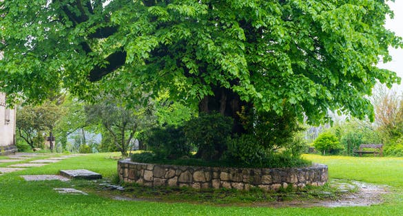 Photo of beautiful courtyard of ancient Martvili monastery in Georgia.