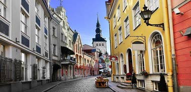 Private Shore Excursion: Highlights of Tallinn with Kadriorg and Pirita