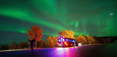 Harstad: Northern Lights Hunt on Hinnøya Island