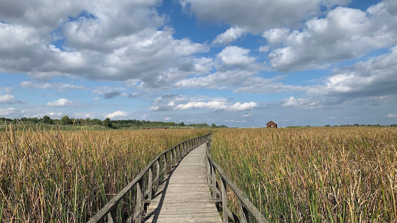 Tisza-tavi Vízi Sétány, Poroszló, Füzesabonyi járás, Heves, Northern Hungary, Great Plain and North, Hungary