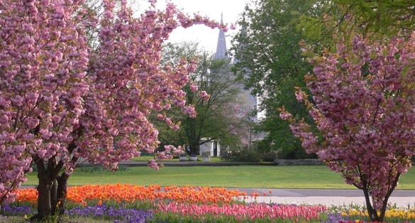 photo of view of Rheinpark, Cologne, Germany.