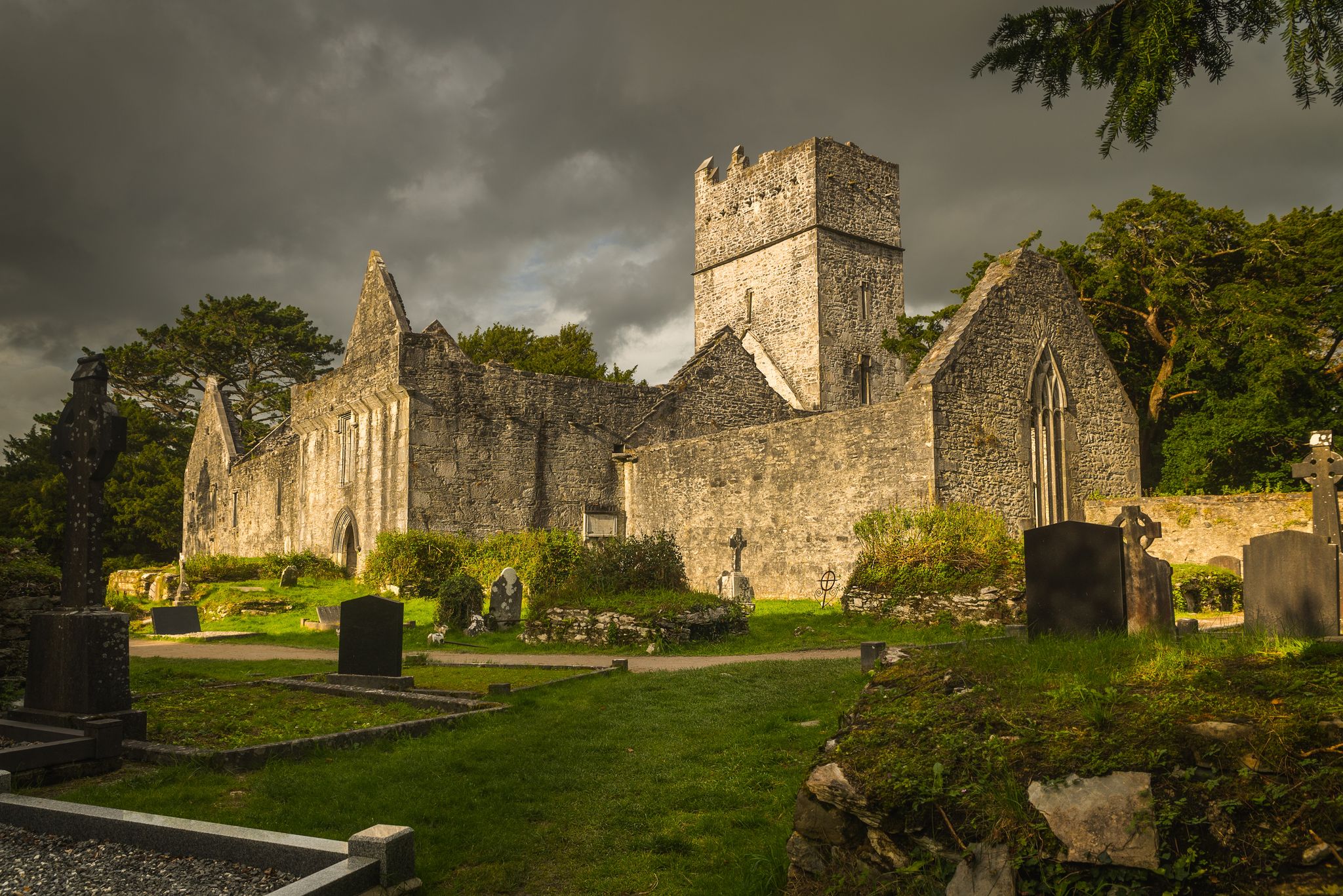 photo of Muckross Abbey ruins in Ireland .