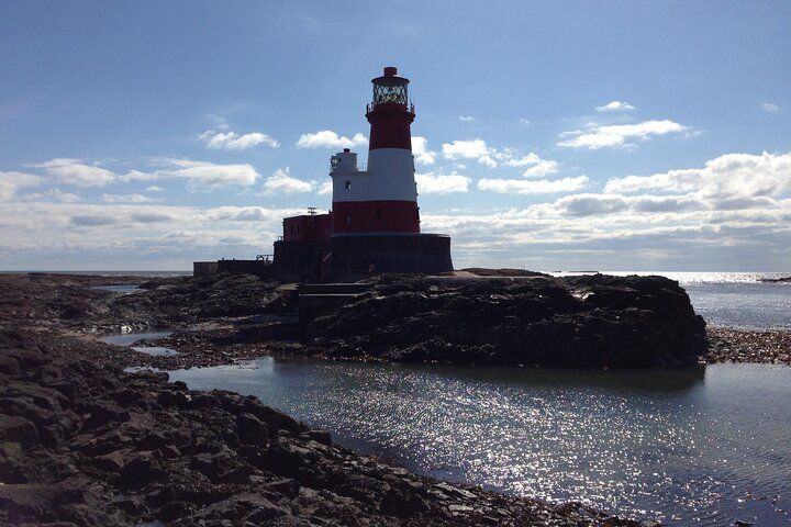 Farne Islands Longstone Lighthouse 2-Hour Trip from Seahouses