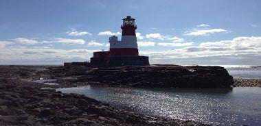 Farne Islands Longstone Lighthouse 2-Hour Trip from Seahouses