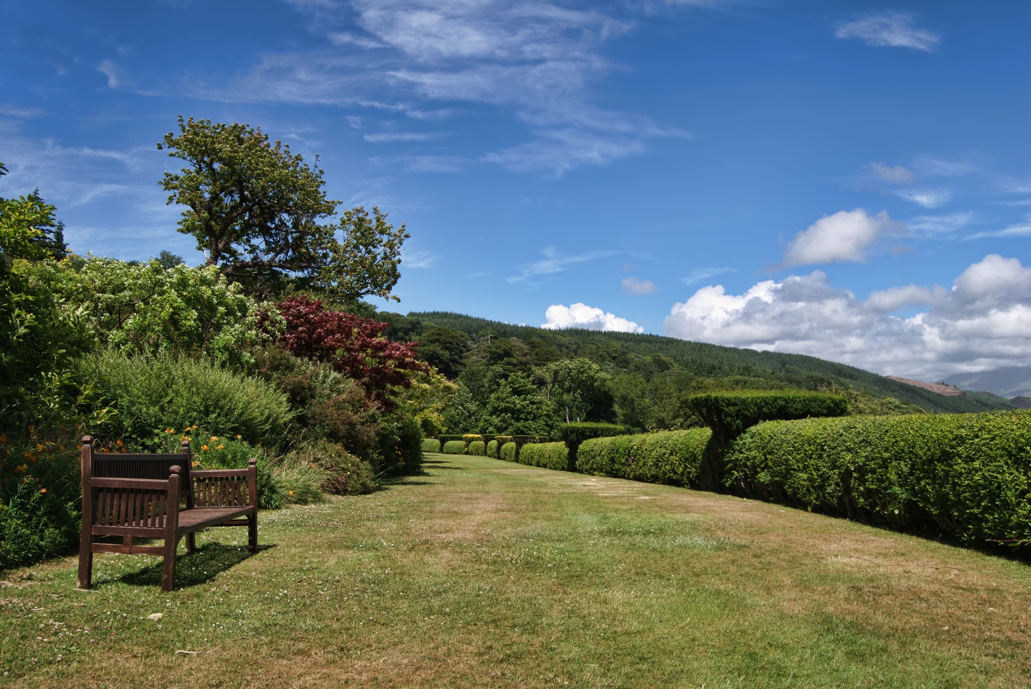 Photo of The Terrace Walk in the Gardens of Muncaster Castle in the English Lake District in Cumbria, UK.
