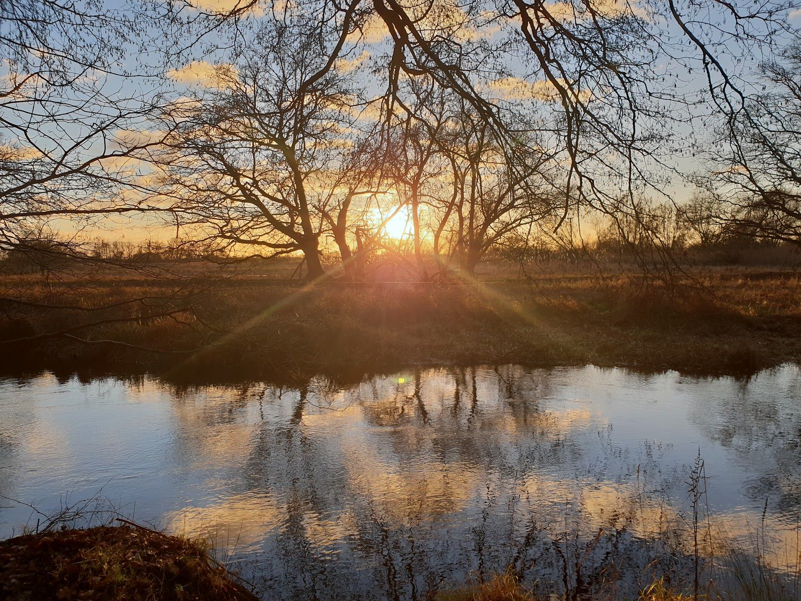 Upper Aller near Celle, Celle, Landkreis Celle, Lower Saxony, Germany
