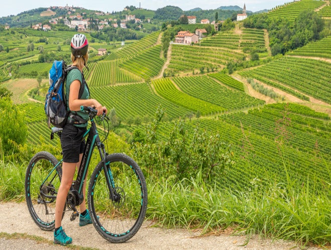 Cyclist admiring vineyard-covered hills in the Goriška Brda wine region of Slovenia..jpg