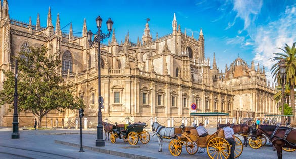 Photo of beautiful Sevilla and horses in the background. 