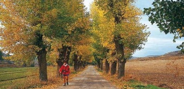 Camino - Leon to Santiago