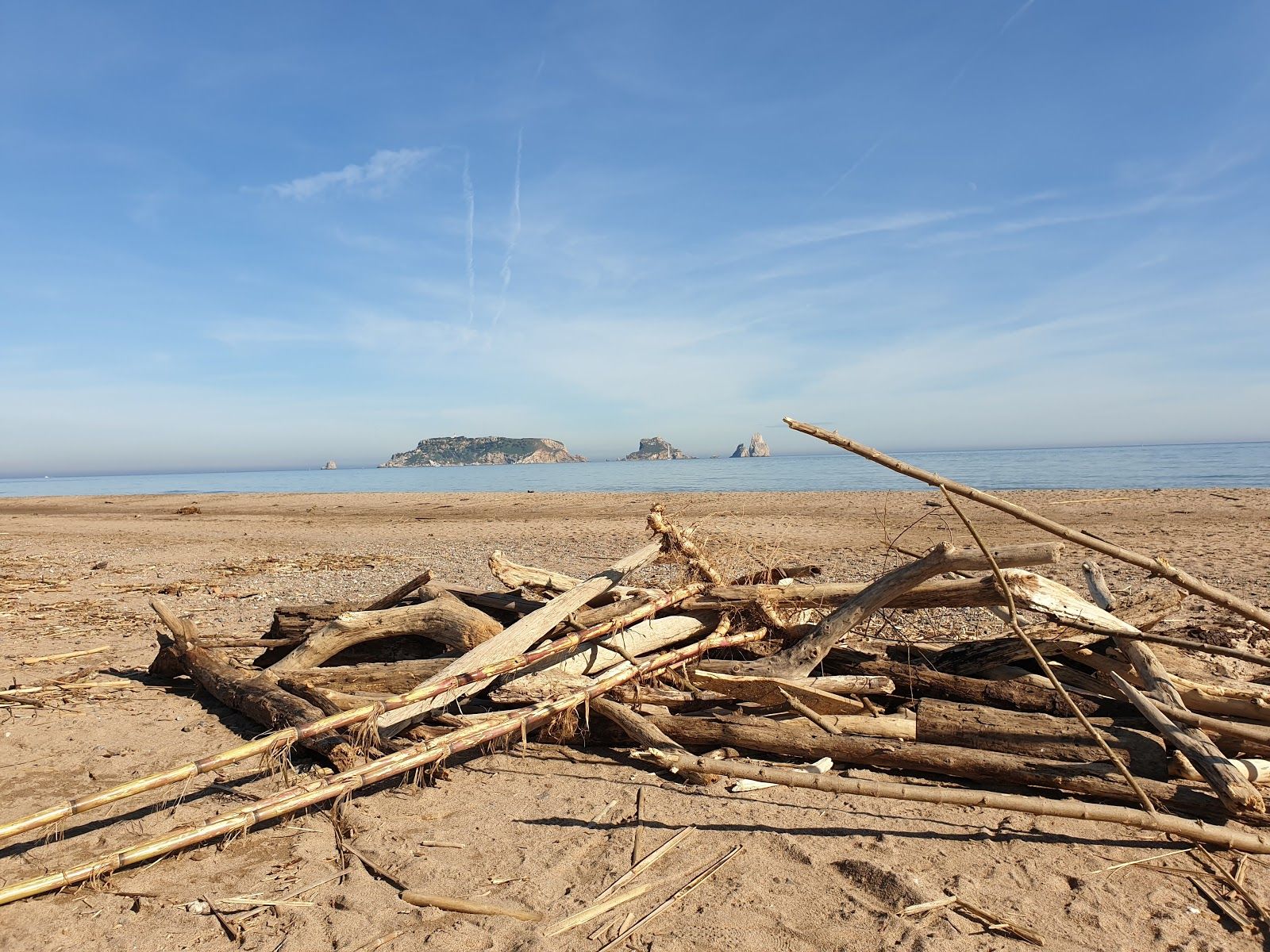 Aiguamolls del Baix Empordà, Torroella de Montgrí, Lower Empordà, Girona, Catalonia, Spain