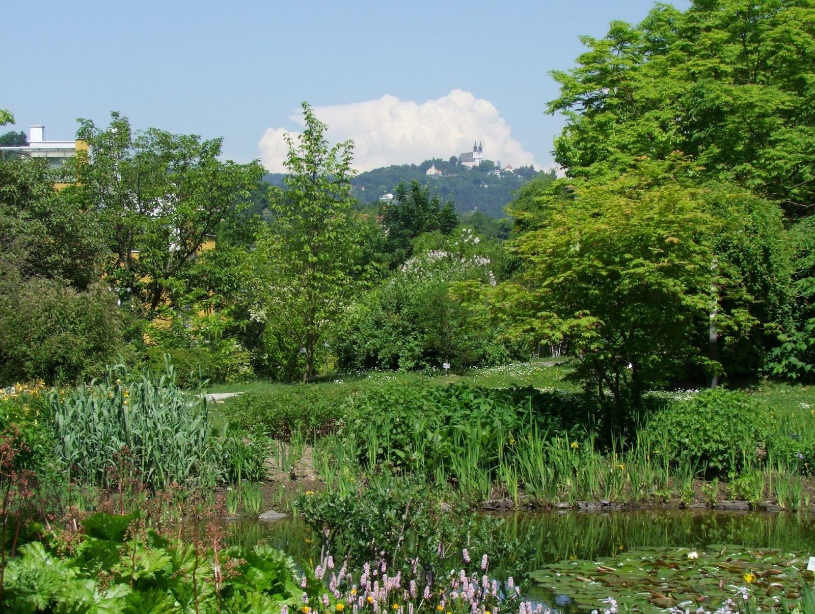Linz Botanical Garden, Froschberg, Linz, Upper Austria, Austria