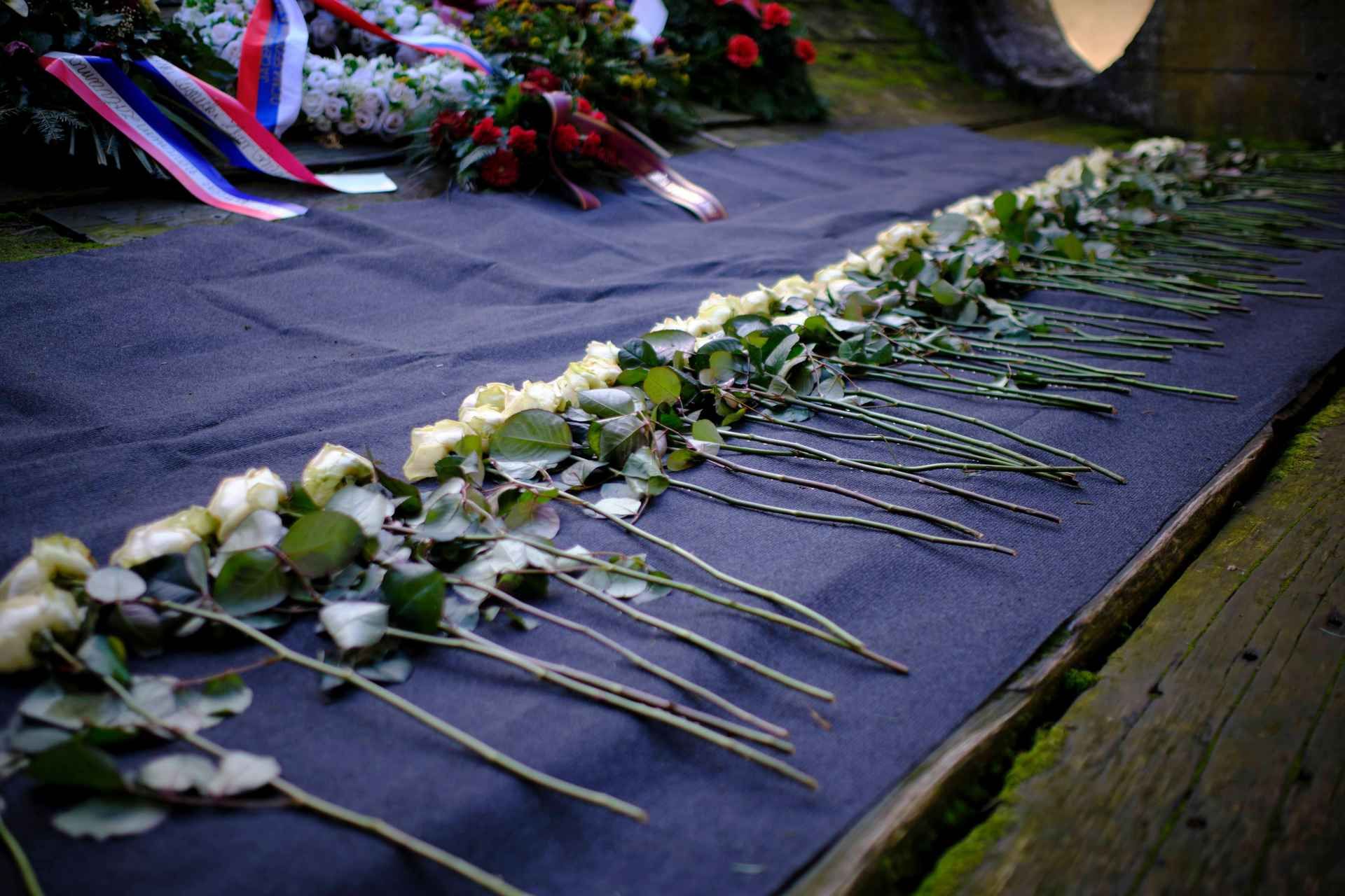 From Zagreb: WWII and Jasenovac Concentration Camp Day Tour