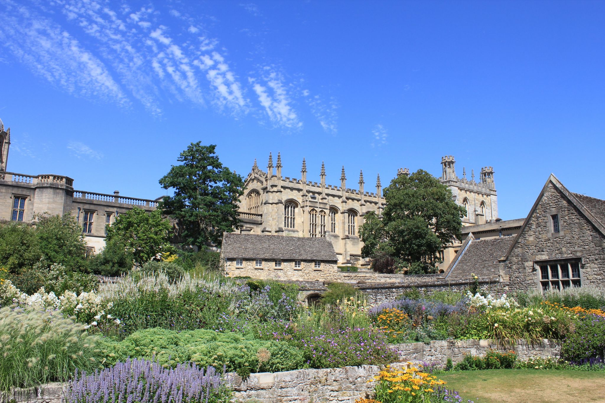 Oxford Botanic Garden.jpg