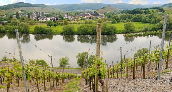 Photo  of muelheim village on the wine route and moselle river.