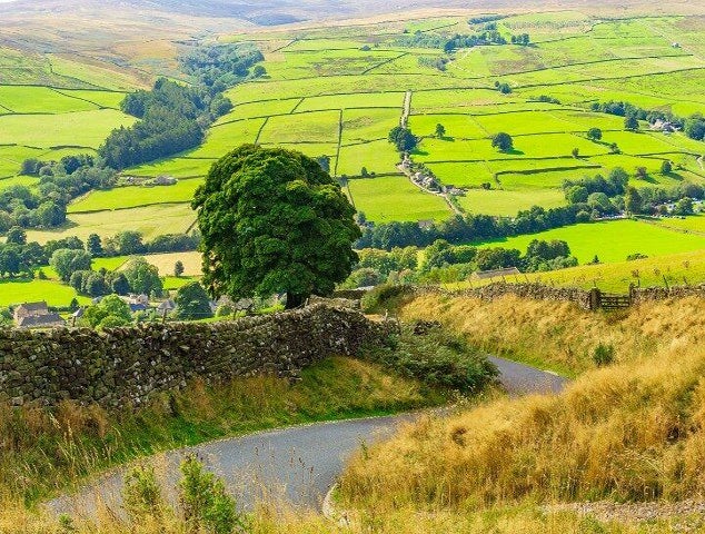 A winding road with a stone wall and a lone tree, set against the vast Yorkshire Dales valley in England..jpg