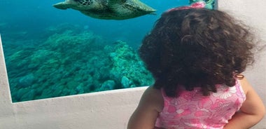 Larnaca: Yellow Submarine Mini Cruise with a Swim Stop