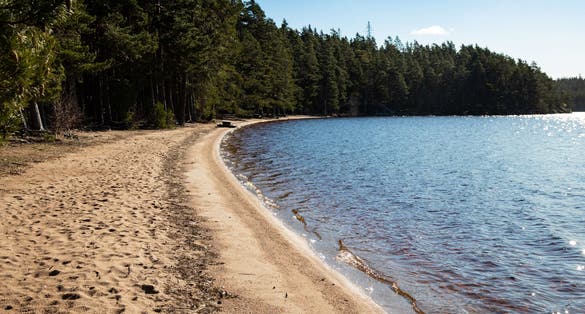 photo of Tiveden Nationalpark Sweden. Vitsand trehorningen lake. Sandy shore on a sunny spring day.