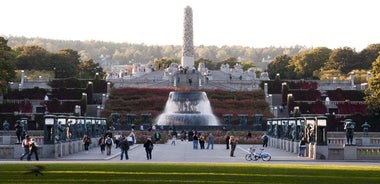 Afternoon Bike Tour in Oslo, Norway