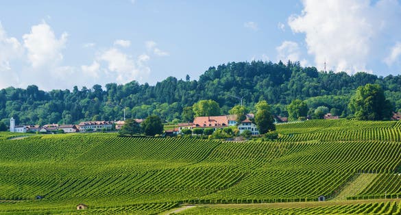Photo of fields in Swiss village in Yverdon les Bains in Jura Nord Vaudois district of Canton Vaud, in Switzerland.