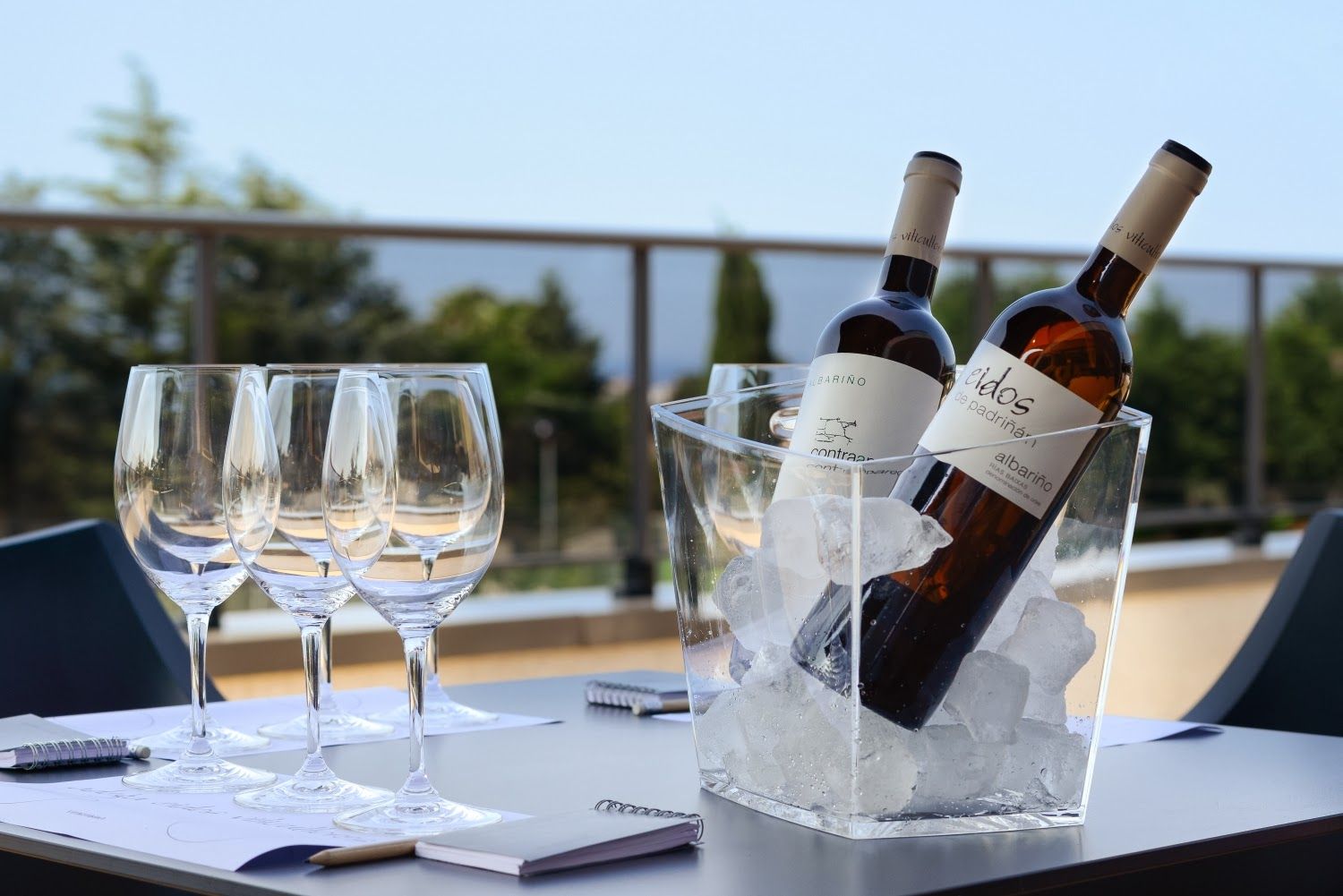 Adega Eidos, Padriñán, Sanxenxo, O Salnés, Pontevedra, Galicia, Spain