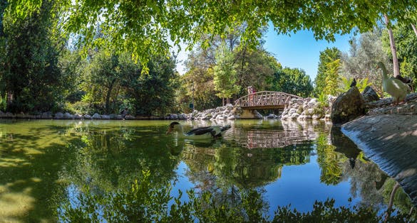 Photo of the artificial lake with the wooden bridge at the National Garden of Athens, Greece.