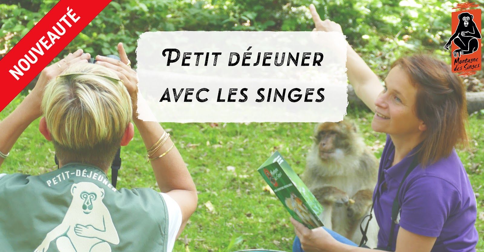 La Montagne des singes travel guide