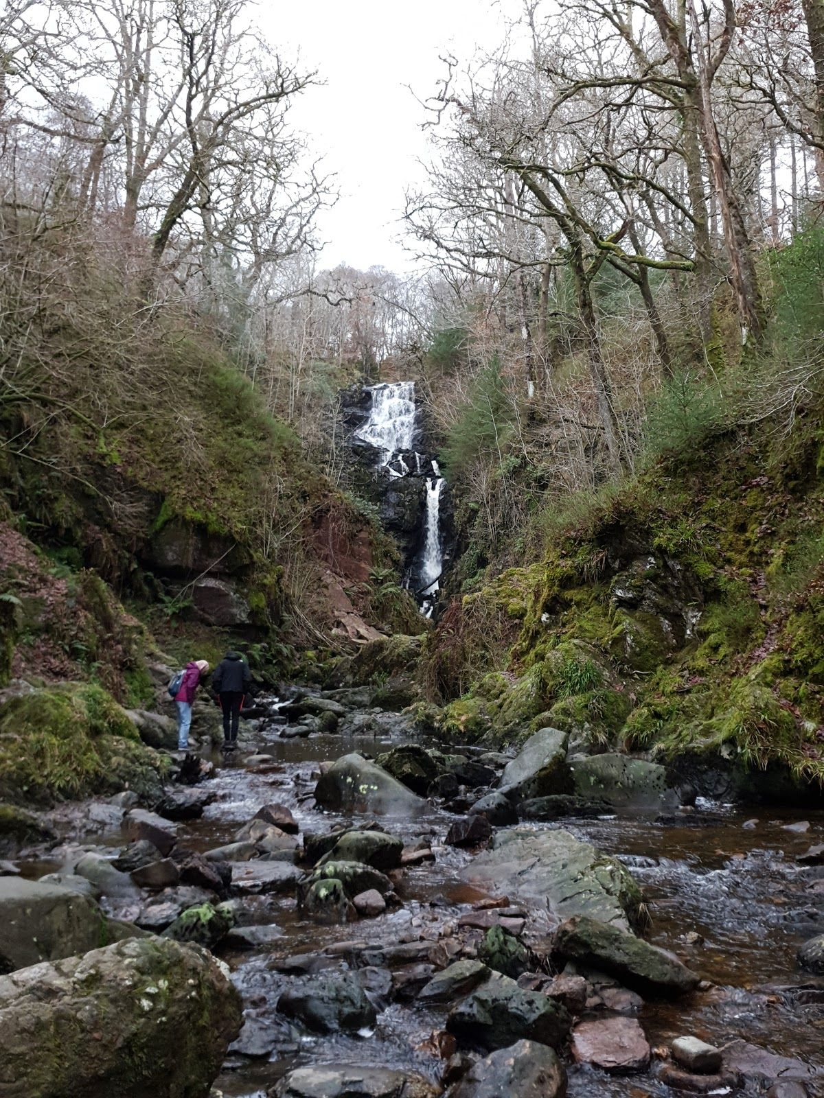 Queen Elizabeth Forest Park, Stirling, Scotland, United Kingdom