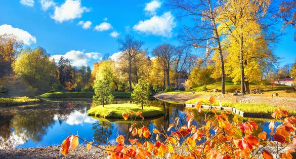 Photo of beautiful landscape with Japanese garden of stones and pond in Kadriorg park at golden autumn. Tallinn, Estonia.